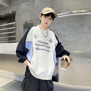 Fall New Childrens Boys Casual Hoodie Sweatshirt
