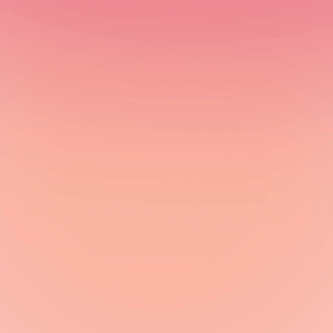 Budgeting 101: Setting Financial Goals and Building Your Savings Your Essential Guide to Budgeting By Michele Cagan