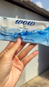 Combo 10 Gói - Khăn lạnh WOW hương Hoa Ngọc Lan dịu nhẹ - Tiện lợi mang theo du lịch -Vina Green Plus