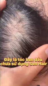 Dầu gội phủ bạc SIN HAIR Nhật Bản chính hãng 500ML thảo dược nhuộm đen nâu tóc nhân sâm." mỹ phẩm tóc 4.0