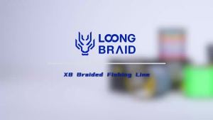 HAILONGWANG | LOONG BRAID 300M Braided Fishing Line X8 PE Multifilament Line Ultra Thinner Super Strong Pull Line for Freshwater Seawater