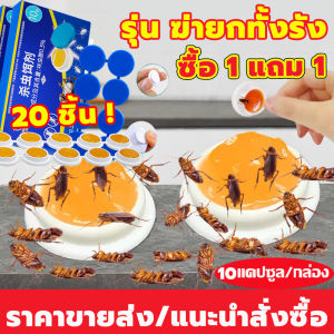 【ซื้อ 1 แถม 1】ซื้อครั้งเดียวใช้ได้ 1 ปี！เหยื่อแมลงสาบ กำจัดแมลงสาบ ปลอดภัยต่อคนและสัตว์เลี้ยง ไม่มีพิษ ฆ่าให้ตายทั้งรัง ยาฆ่าแมลงสาบ กันน้ำ กันความชื้น วางราบได้ ติดบนผนังได้ ยาฆ่า ที่ดักแมลงสาบ cockroach killer บ้านแมลงสาบ ไล่แมลงสาบ แมลงสาบ