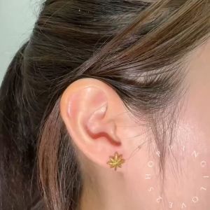 D41 Korean Fashion leaf earrings titanium steel mens and womens earrings simple small earrings 韩版时尚个性耳饰