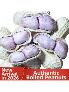 Salty Dry Boiled Peanuts Snack