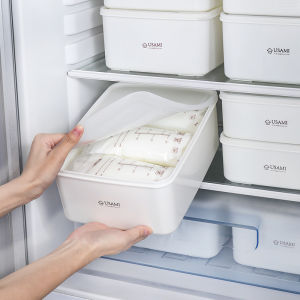 Breast Milk Storage Box Sealed Freshness Preservation Container for Work Outings Home Fridge Food Vegetable Storage Organizer