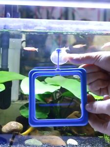 Vòng Cho Cá Ăn - Vòng Giữ Cám Nổi - Vòng Giữ Thức Ăn trong hồ cá