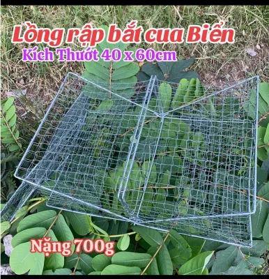 Rập đặc cua lồng bẫy cua lồng cua biển rập cua biển (40cm x 60cm x 22cm) móc gài inox sườn kẻm 4li Mắt Lưới 22cm(45 fân)