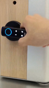 ORI Foshan M20 Kunci Pintu Pintar Smart Door Lock Fingerprint Password Card RFID Alarm