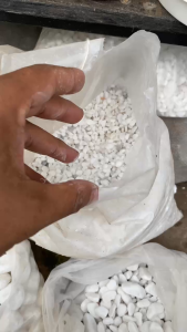 1 kg sỏi trắng trang trí chậu cây cảnh bể cá sân vườn các size