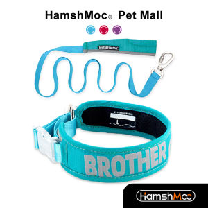 HamshMoc Waterproof Pet Dog Collar with Leash Set Breathable Dog Collar Adjustable Soft Comfortable with Quick Release Buckle for Dog
