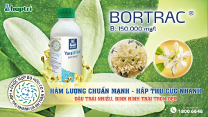( Hợp Trí ) BORTRAC (500ML) - PHÂN BÓN LÁ VI LƯỢNG- TĂNG RA HOA ĐẬU TRÁI CHỐNG RỤNG TRÁI NON - Hàng Hiệu Chính Hãng