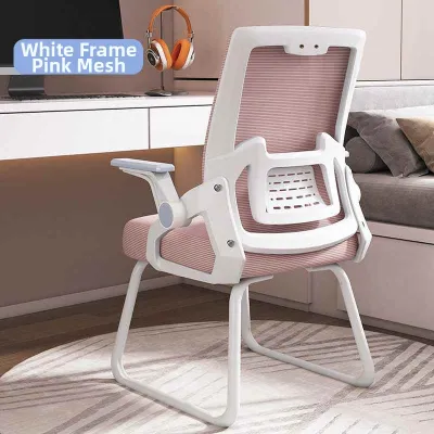 ZHENTAIYUAN | Ergonomic Office Study Chair