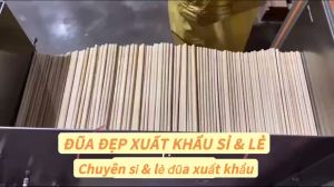 ĐŨA TRE GẤU TRÚC DÙNG 1 LẦN