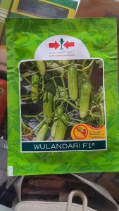 BENIH TIMUN WULANDARI F1 CAP PANAH MERAH // MENTIMUN WULANDARI