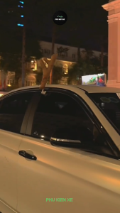 Cặp Sừng Tuần Lộc Ô Tô Và Mũi Đỏ Trang Trí Xe Hơi - Sừng Hươu Trang Trí Xe Ô Tô