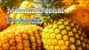 500 ml Minuman Probiotik / Starter / Biang probiotik / Probiotic / Minuman Kesehatan / Biang fermentasi