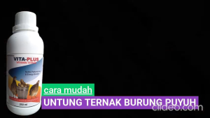 Vita Plus 250 ml: Vitamin Burung Puyuh Petelur Pemacu Produksi Nafsu Makan & Meningkatkan Telur Puyuh