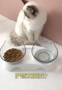 Cat Double Transparent Bowl Food Water Drinking Pet Feeding Feeder Dish Pet Supplies Mangkuk Air Kucing Bekas Makanan猫双碗