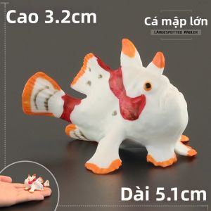 MENGSILE | Mô Hình Đồ Chơi Giáo Dục Động Vật Biển