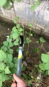 เคียว เคียวแมงกานีส 40/60CM เคียวเหล็กแมงกานีส เคียวเกี่ยวหญ้า เคียวเกี่ยวข้าว มีดถางหญ้า คียวตัดกิ่งไม้