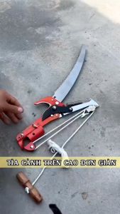 Đầu kéo tỉa cành trên cao Kéo cắt cành cây trên cao kèm cưa loại 1
