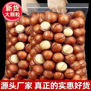 Buttery Flavored Macadamia Nuts In Shell