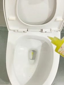 Deodorizer Toilet Freshener Pet Deodorant Eliminate Bad Odor Home Toilet Bathroom Indoor Fragrance Lasting 50ml SG Ready Stock