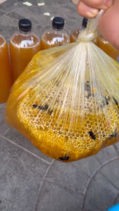 Mật ong khoái rừng chuẩn tự nhiên mật ong nguyên chất taybac21 1000ml