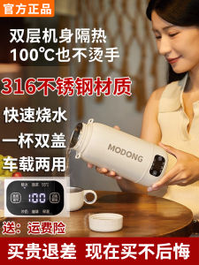 Portable Travel Electric Water Bottle Heating Insulated Cup Boiling Water Carriage Stainless Steel 1L Capacity Intelligent Temperature Control