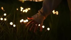 Garden Lights-New Upgraded Solar Powered Firefly Lights Outdoor Waterproof Vibran Garden Lights for Decorationi