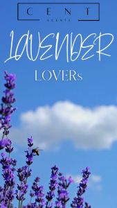 LAVENDER-pewangi/reed diffuser ruangan pure aromatherapy 50ml