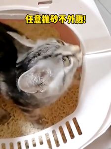 BOB PET Cat Litter Box Large With Scoop Kitten Litter Box Cat Toilet Deodorization leakage prevention Cat Toilet