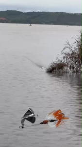 บัสเบท น้าโต้ พัทลุง DROGON BUZZ BAIT ขนาด 13 ซม.น้ำหนัก 20 กรัม เบ็ดเบอร์ 6/0 ใบสแตนเลส โดรก้อนบัสเบท ตกปลา เหยื่อตกปลา เหยื่อปลอม บัทเบท