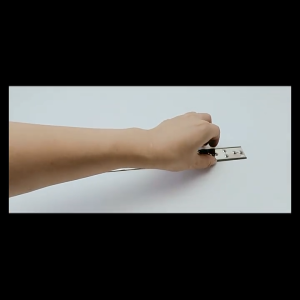 Blue shop 33/50cm Balcony Pigeon Spikes and Bird Repeller Anti-bird Thorn Nail Kit Bird Scarer Deterrent Kit Cat Stainless Steel Garden Supplies Roof