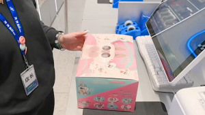 TOP TOY Nobeko Heartwarming Azukisans Daily Life 3rd Version Blind Box