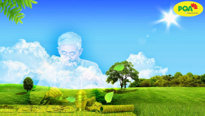 PQA Phế Quản - Người bị ho khó thở (do viêm phế quản co thắt) đau họng do viêm phế quản.