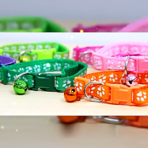 ปลอกคอแมว ปลอกคอสัตว์เลี้ยง พร้อมกระดิ่งสะท้อนแสง วัสดุโพลีเอสเตอร์ ปรับความยาวได้ ปลอดภัย ไม่ระคายเคือง เหมาะสำหรับลูกแมวหรือลูกสุนัข