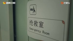 USB Flash Drive 我的人间烟火 + 我的卡路里男孩 华语中字 Chinese subtitle 大陆剧 Fireworks of My Heart My Calorie Boy