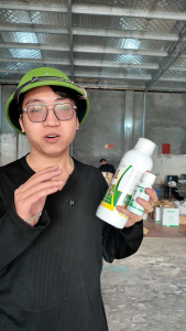 (Combo 12Top1)-(Tặng 12Domino)-Kinh Bắc-Thuốc mát quản lí được nhiều loại côn trùng sâu rầy rệp kiến nhện đỏ và nhiều loại khác. Thuốc mát an toàn trên vườn cây