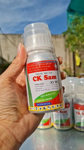 (Chai 100ml) Thuốc Trừ Sâu CK SAM 35SC [Chuyên Lúa] đặc trị Sâu đục thân Sâu cuốn lá: Sự kết hợp độc đáo của 2 hoạt chất Chlorfenapyr & Ivermectin: lưu dẫn thấm sâu sâu ngừng ăn ngay sau phun.