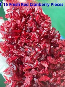 Baking Materials Commercial Dried Cranberry
