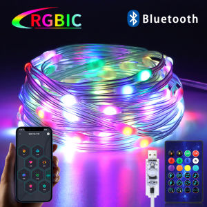 RGBIC LED Fairy String Lights 10M 20M 25M USB 5V Bluetooth APP Music Sync Addressable Christmas Party Garland Decor