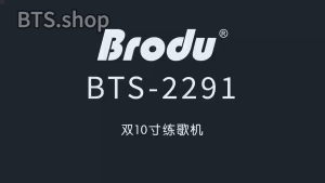 Bts.Shop BTS-2291 Dual 10-inch Karaoke Machine equipped with dual wireless microphones and outdoor Bluetooth speaker