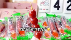 SNACK GO /Bing Tang Hu Lu - 冰糖葫芦 Kecil /CEMILAN BUAH / SNACK IMPORT BELI 3 FREE 1