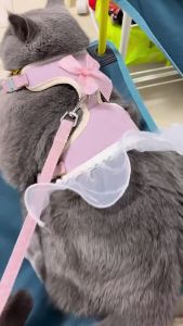 Pet clothes harness with leash dog cat skirt leash chest strap