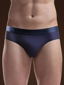 Men Underwear Briefs Ice Silk Quick-Drying Breathable Ultra-Thin U Convex Birth Year Red Underpants Mens Fashion plus Size