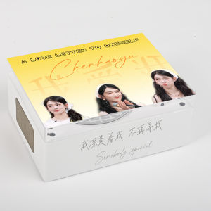 Chirping Silent DIY CD Player Fan Edition Brilliant Wind And Sea I Love Me Album Battery Powered Audio Visual Electronics