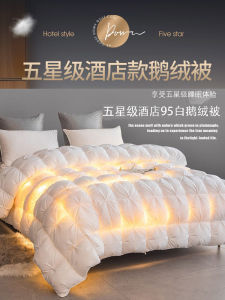 Five-Star Hotel Quality 100% Duvet 95 White Goose Down Quilt Inner Quilt for Spring and Autumn Wedding Thick Warm Winter Duvet