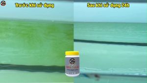 Men Diệt Tảo Rong Rêu Hồ Cá Cảnh AQUA MAX 3 dùng cho tất cả các loại hồ cá cảnh