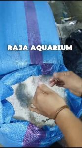 Garam Ikan Premium - Karungan 50 kg Garam Krosok Garam Industri Garam Ikan Kristal